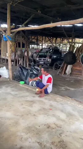 #fyp 