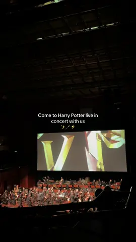 magical experience 🪄✨⚡️ #harrypotter #potterhead #harrypottertiktok #harrypotterliveinconcert #liveorchestra #orchestra #alteoperfrankfurt #frankfurtammain #hptok #coupledate #fyp #foryou 
