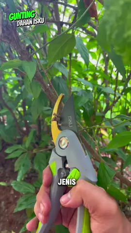 Buat kalian yg suka berkebun ini dia perkakas yg cocok 🤩😍🌴 #ramadanekstraseru #iskutools #guntingdahan #gunting #guntingmultifungsi #berkebun #perkakasberkualitas #alatperkakaskebun #fyp #handtools #tools #multifungsi #guntingdahanisku 