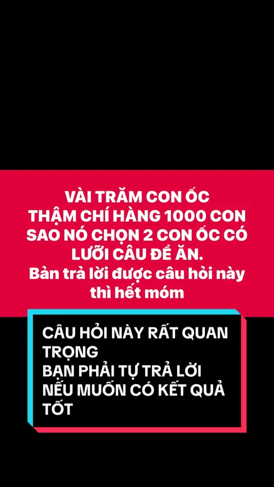 Câu hỏi này rất quan trọng bạn cần phải trả lời để câu hiệu quả hơn #caucagiaitri #thinhcautramden #thinhcautramden #huandq #caudai 