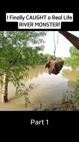 #fishing #fyp #foryou 