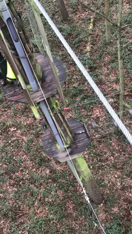 POV of Site 5 Tarzan that customers don't get to see. #goape #workingatheight #pov #differview