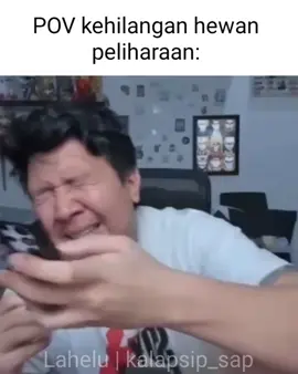 sedih😢... #sad #meme #hewan #pov