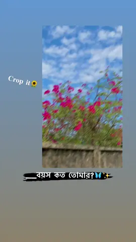 crop video-/🦋🌻#cutee_rimon1 #trending #foryoupage #unknown_boy_129 