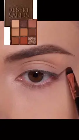 Una maravilla esta paleta de sombras desert sand #deserts #oasis #farmasi #makeup #makeuptutorial #makeupartist #makeuphacks 