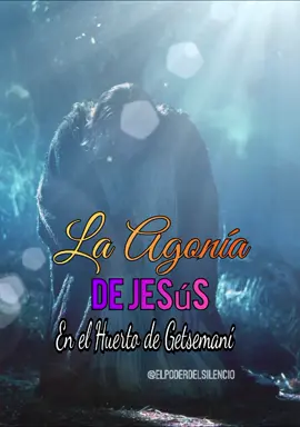Buenas tardes amigos y amigas del poder del silencio sigamos reflexionando en esta tarde de jueves Santo. #buenastardes #jueves #Thursday #JuevesBendecido #juevessanto #ultimacena #amen 