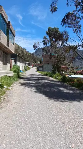 La Vida es una Aventura,Que Tenemos el Privilegio de Disfrutar.💚🌻😊 En estés hermosos páramos de nuestro centro poblado santa cruz de puna Ayllu, Patambuco que cuentan con Diversos de zonas arqueológicas, paisajismo, Gastronomía, agricultura, Artesanías,etc 💚💚🌻😊 #Patambuco #Sandia #puno #puno_peru #peru🇵🇪  #Viral #for #foryou #sentimientos #sentimientosunicos🥰🥺 #cultura #paisajeshermosos #paisajesnaturales #costumbresytradiciones #paisajesperuanos🇵🇪🏞🍂 💚🌻😊
