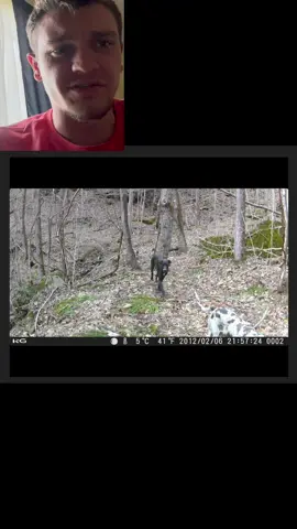 I didn't expect that to be in the woods #Jesus #GrayGang