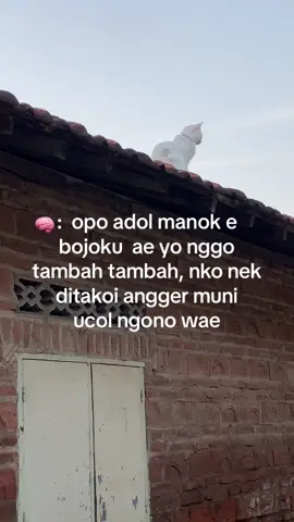 #fypシ゚viral  #gabutdoank😂 