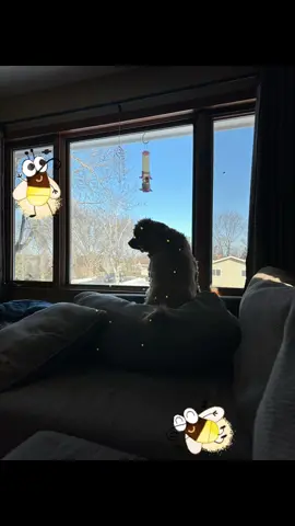 #firefly #dogs  #dogsoftiktok 