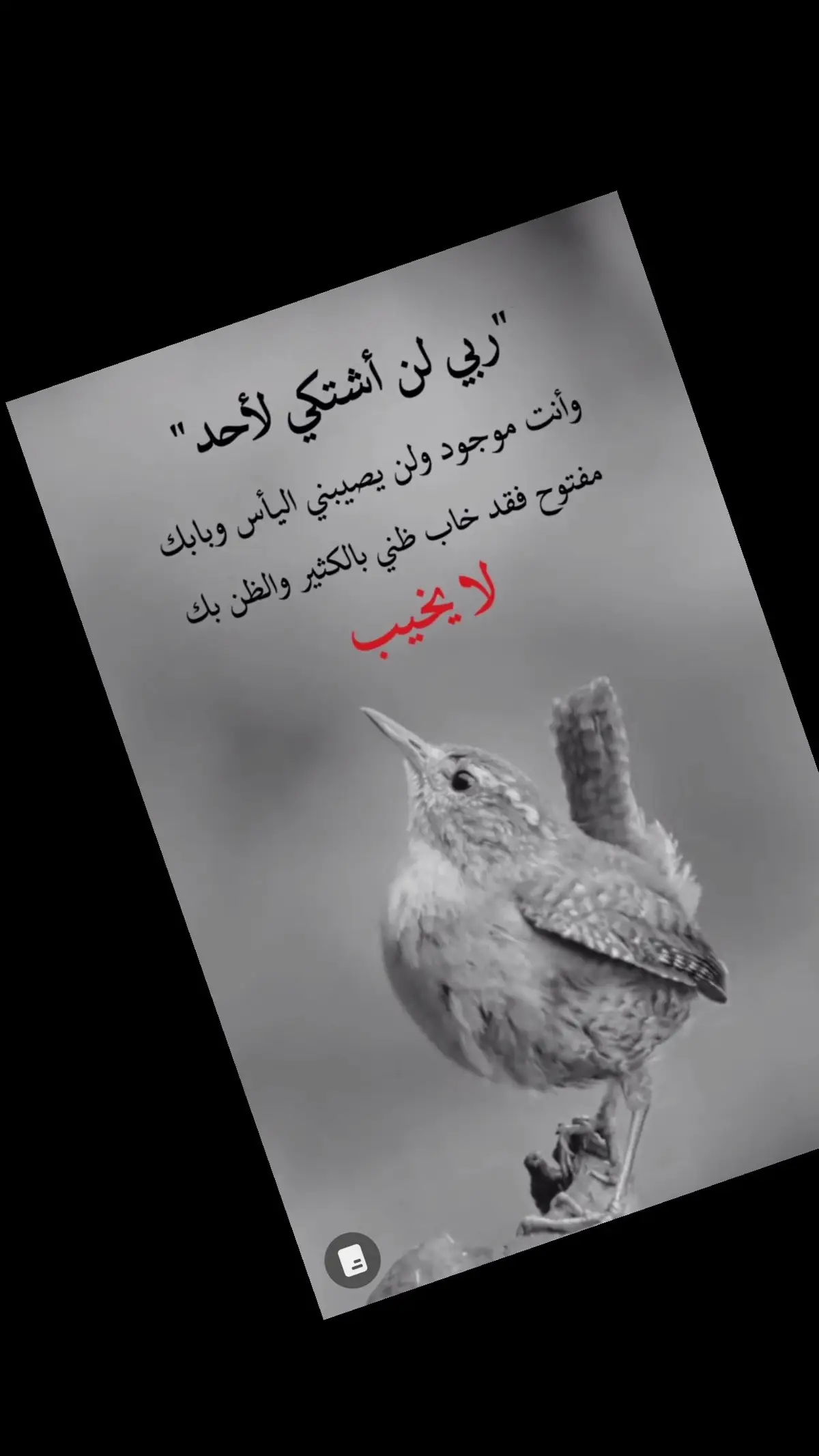 اللهم إني وليتك أمري فاعوذ بك من سوء   حظي وضيق صدري وفراغ صبري  يارب اجعلني ممن نظرت إليه فرحمته  وسمعت دعاءه فأجبته 🤲🥹