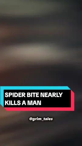 Man Nearly Dies From Spider Bite! #joerogan #storytime #Spider #amazonrainforest