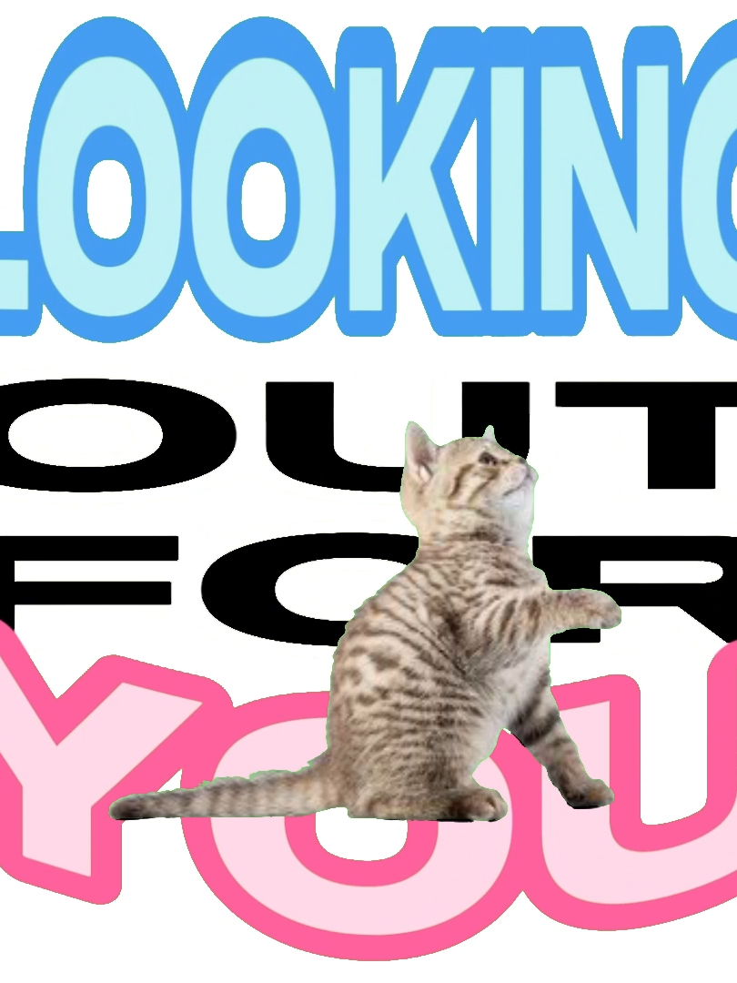 LOOKING OUT FOR YOU !!! 💥 idk why i kept the video unfinished for 3 months but here it is 😭 #cats #sillycats #lookingoutforyou #animation #meme #stockdancing #Love #lover #hopecore #corecore