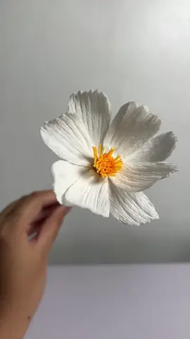 can’t decide if this white cosmos is an easy paper flower to make or not. on one hand, it’s pretty straightforward, but on the other hand, attention to detail is needed. #paperflower #crepepaperflower #DIY #handmade #SmallBusiness 