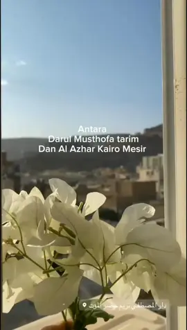 ??#katakatamotivasi #quetesislami #islamicreminder #islamic_media #islamic_video #tarim  #tarimhadramautyaman #Kairo #mesir #bismillahfyp 