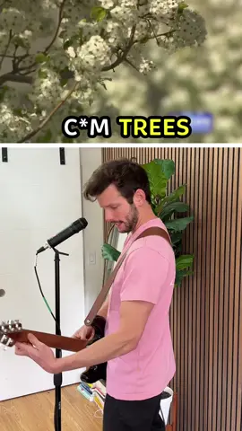 It’s springtime, you know what that means #funny #poppunk 