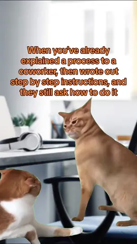 Our corporate pet peeve.  #workhumor #corporatememes #officehumor #workproblems #fyp 