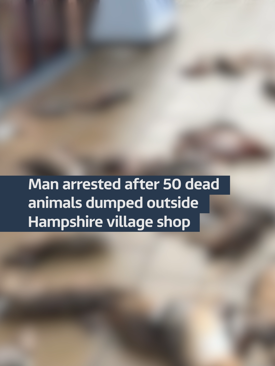 Man arrested after 50 dead animals dumped outside Hampshire village shop #itvnews