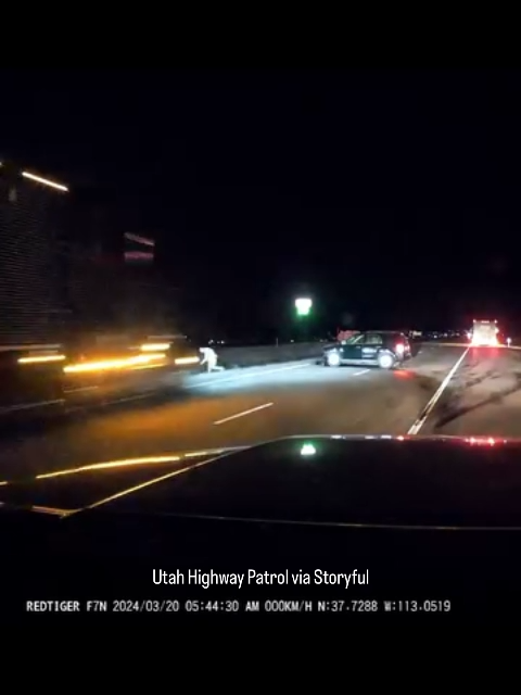 A speeding semi-trailer truck narrowly avoided mowing down motorists who were waiting for first responders at the site of a crash along the I-15, as seen in dramatic dash cam footage released on March 25. The footage shared by Utah Highway Patrol highway patrol shows a trooper trying to signal to the huge truck careening towards the scene of the crash. The incident is described as having taken place on March 20. Moments later the vehicle can be seen barreling past, nearly skimming the crashed car, and the road side pedestrians, who jump out of the way in the nick of time. The highway patrol urged both pedestrians and drivers to “be extra vigilant of the increased dangers” on the freeway. #news #fyp