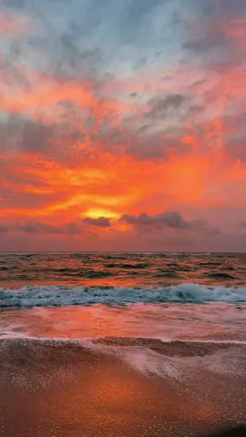 “Sunsets are my favorite colors.” ❤️‍🔥🌅🌊 #sunsetlover #beachtherapy #goldenhour #oceansunset #paradise #florida #aesthetic #cloudlover 