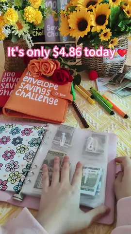 A better way to save money😆#fyp #100envelopechallenge #savingmoney #Drlove #foryou #tiktokshop 