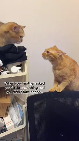 When your mother asked you to do something and you didn't take action... 