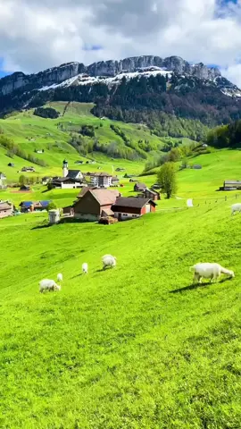 2 months until Switzerland will look like this. . . . #swissalps #landscapelover #swissnature #beautifulscenery 