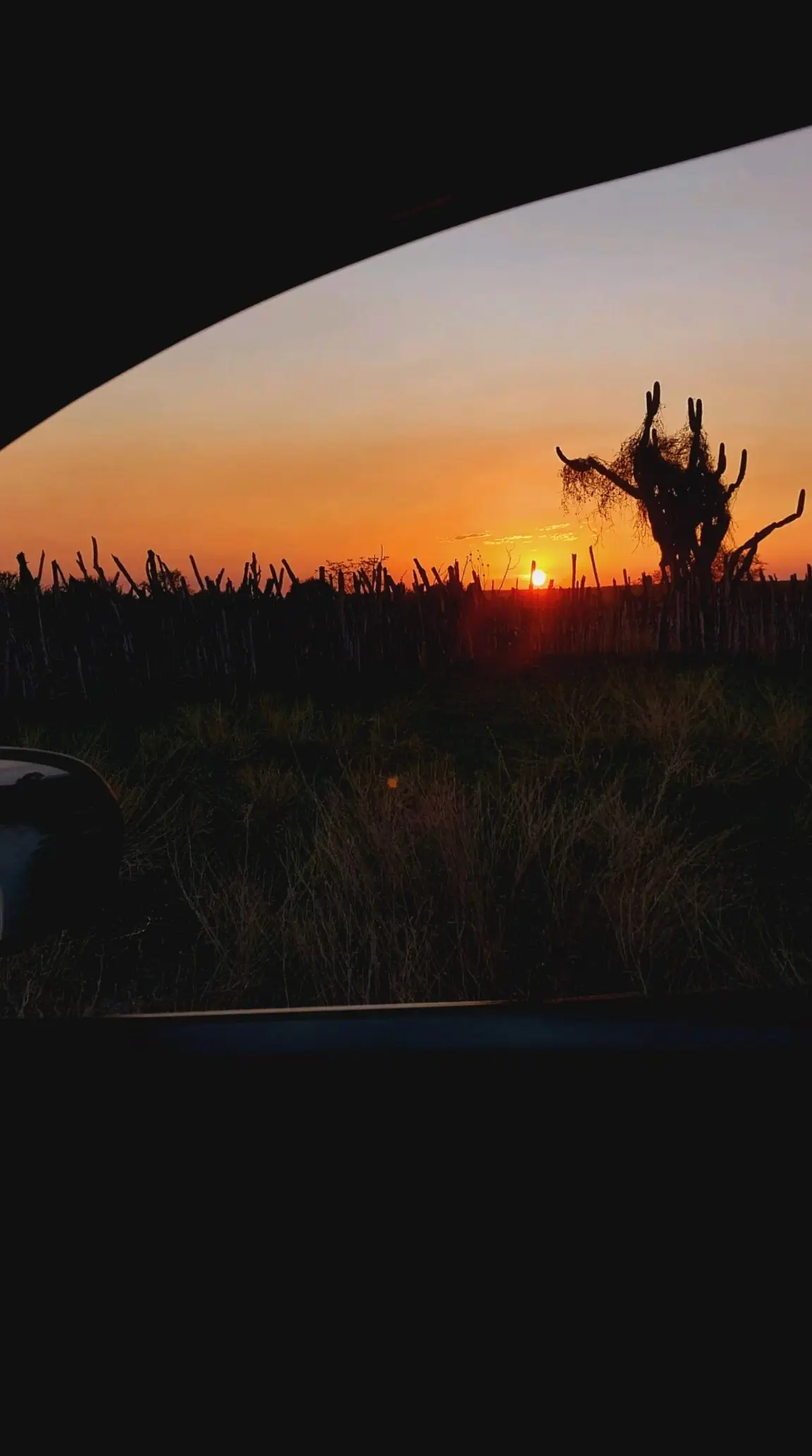 clássica.  #pôrdosol #Flashback #estrada #carro #dirigindo #paisagem #sertão 