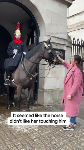 It seemed like the horse didn't like her touching him #thekingsguards #horseguard #royalhorse #military #foryou #trending #horseguardsparade 