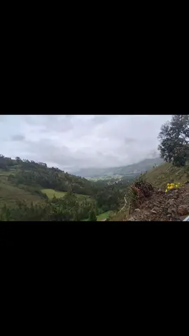 Viaje a obra 👷‍♂️ !! #Salsipuedes