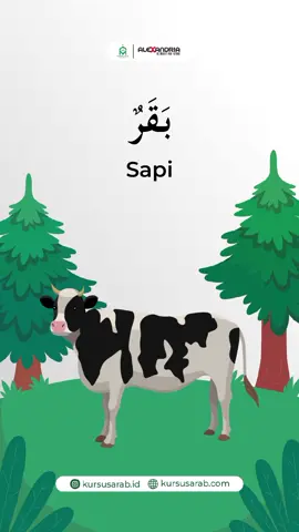 Lagu Nama-nama Hewan dalam Bahasa Arab #kursusarab #kursusarabonline #lesbahasaarab #Ramadan #fyp 