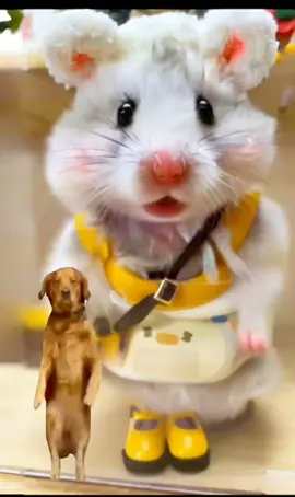I am preparing for the party dance, please help me decide whether it is part 1 or part 2?#hamster #hamstersoftiktok #foryou #fyp 