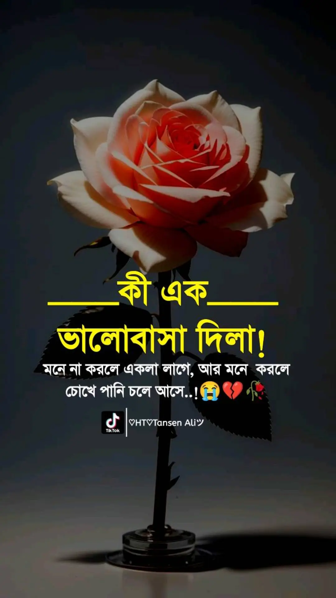 #plz_tiktok_my_video_viral🙏 #foryoupage #fyp #tiktokviral #status #video #💔😔🥀 @TikTok @TikTok Bangladesh @Creator Portal Bangla @bdtiktokofficial 