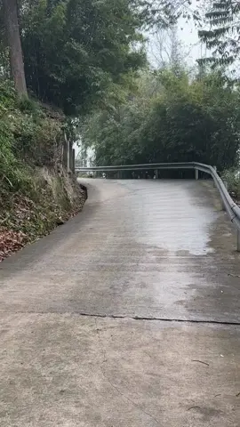Funny #pet #trending #fyp #xuhuong #PetsOfTikTok #dog #dogsoftiktok 