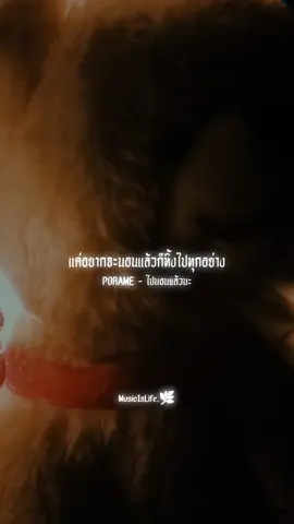 แค่อยากจะนอนแล้วก็ทิ้งไปทุกอย่าง. #ไปนอนแล้วนะ #porame #เพลงแร็ป #เพลงเศร้า #sad #fyp #รับโปรโมทเพลง 