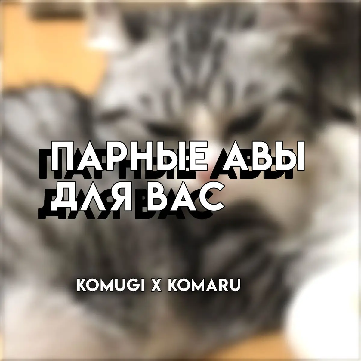 юзайте) #komaru #komugi #комару #комуги #парныеавы #fyp 