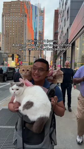 Cat mom wasn’t a cat person until she met cat dad. She is now a proud cat-trovert. Are you always a cat person? #catsoftiktok #PetsOfTikTok #cats #catlover #cattok #cat #catonaleash 
