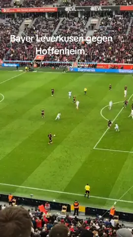 #bayerleverkusen #bundesliga #tor #torlive #bubdesliga2024 