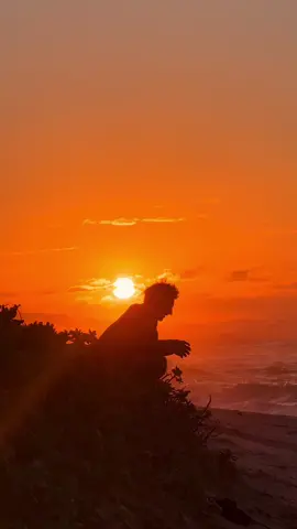 beach flips and hawaiian sunsets