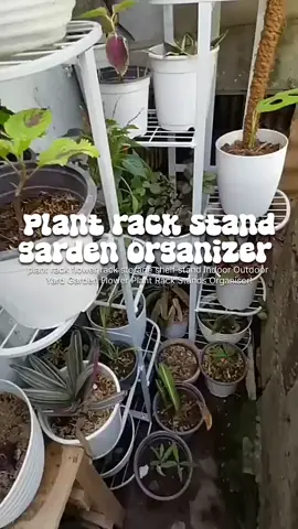 plant rack living room flower rack storage rack Display Shelf Plant Stand Indoor Outdoor Yard Garden Flower Plant Rack Stands Organiser! #DIYPlantStand #BotanicalDecor #SmallSpaceGardening #PlantLover #HomeDecor #InteriorDesign #GreenLiving #GardenInspiration #UrbanJungle #VerticalGarden #PlantStand #IndoorGarden #PlantRack #plantorganization #plantorganizer #plantrackstand #garden #gardenorganization 
