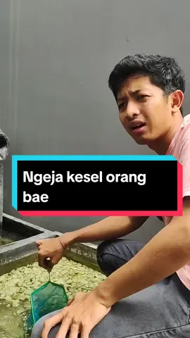 ada ada aja lg bulan puasa 🤣 #rg #rgaksesoris #rgaksesorishp #shopmaster  #melokaldenganbatik #belilokal #belilokalramadan #ramadanekstra #RamadanEktraSeru #EdisiRamadan #tws #twsgaming #twsmurah #twsgamingmurah  #vidio #viral #tiktok #fy #fypシ #fyp 