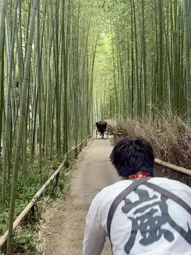 Rickshaw experience #kyoto #arashiyamabambooforest #fyp 