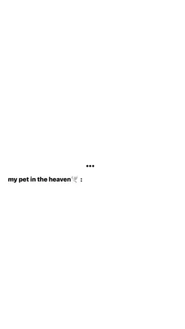 i miss you so my baby ☹️☹️🤍 #petloss #fyp 💔💔