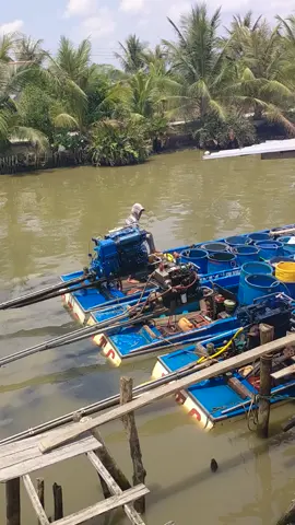 phải lao động mới có tiền nghe.#xuhuong #xetom66 #tomcangxanh 