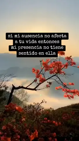 si mi ausencia no afecta en tu vida 