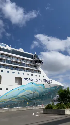 Norwegian Spirit is a great option to unwind for those looking to have maximum relaxation and enjoy good food, drinks and entertainment. Thanks @Norwegian Cruise Line for having me onboard to check out the ship #cruise #cruiseship #norwegiancruiseline #norwegianspirit #australia #newzealand #freeatsea #freeatseaallinclusive #Foodie #beveragepackage #specialtydining #shoreexcursions #relaxtion #spa #luxury #travel #traveltok #travellife #travelworklife #europe #mediterranean #alaska #hawaii #caribbean #bermuda #transatlantic #panamacanal #asia #southamerica #extraordinary #antartica #worldwide #cruiseco #cruisewholesaler 
