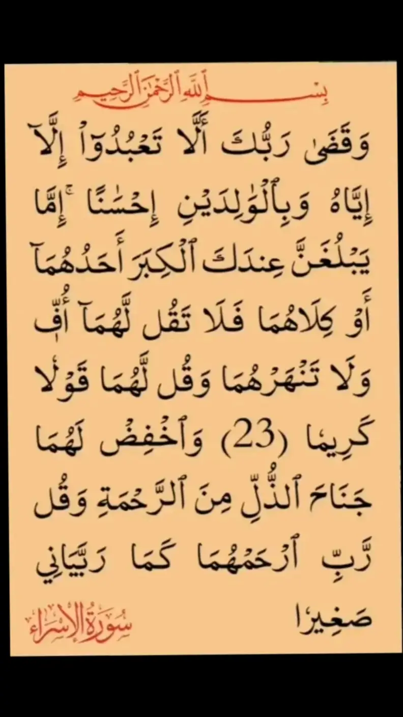 Holy Quran 🥰🕋#Ramadan #foryou #القران_الكريم_راحه_نفسية😍🕋 #foryoupage❤️❤️ #viralvideo #quran 