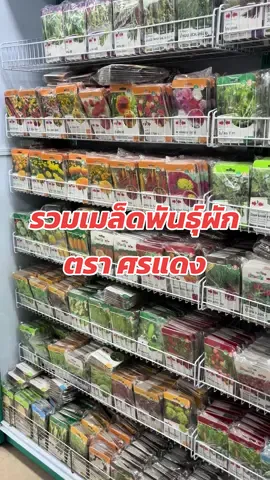 เมล็ดพันธุ์ผัก ตราศรแดง #ภวัฒน์การเกษตรรู้ใจเรื่องเกษตร✨ #เมล็ดพันธุ์ผัก #ปลูกผักกินเอง #ปลูกผักสวนครัว #ปลูกผักไฮโดโปนิกส์ #ออแกนิค #พันธุ์ผัก #ร้านเกษตร #เกษตรอินทรีย์ 