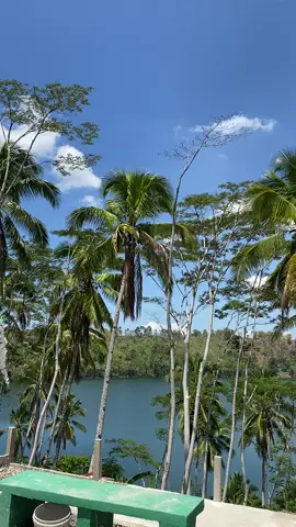 #Din’sEcoPark #SanMiguel #ZamboSur #LakeDasay #Fyp #View 