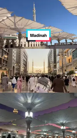 The most beautiful and peaceful place 📿 📍 Masjid an Nabawi, Medina #madinah #masjidnabawi #umrah 